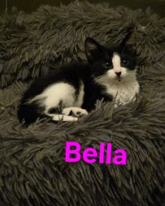 Bella