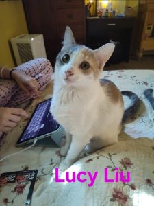 Lucy