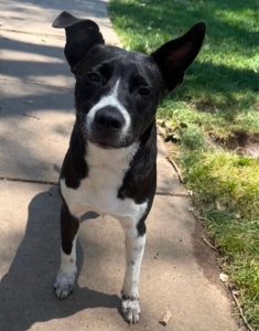 Maggie