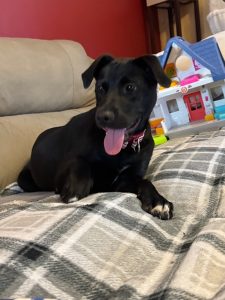 delilah
